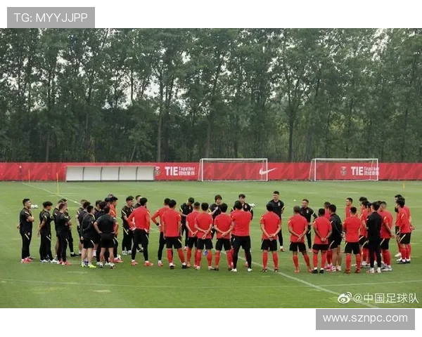 真的两百斤胖子能否踢职业足球