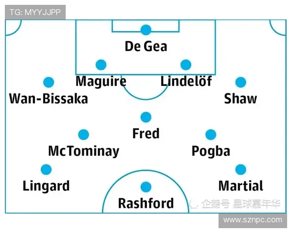 热刺签德泽尔比：战术匹配与风险评估